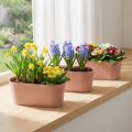 Ciotola per piante ovale ciotola decorativa plastica rosa marrone 27×11×10 cm 3pz | Floristik24.it