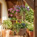 Cesto appeso cesto fiori 2 cesti legno naturale Ø20cm/26cm | Floristik24.it