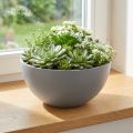 Vaso per piante in plastica, ciotola per fiori grigia Ø25cm H12cm | Floristik24.it