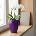 Vaso per orchidee, lucido, Ø12,5 cm, viola | Floristik24.it