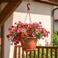 Cesto sospeso Galizia Ø30cm terracotta | Floristik24.it