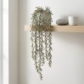 Viticcio succulento pendente verde, bronzo metallizzato 114 cm | Floristik24.it