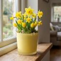 Vaso da fiori in vetro Vaso decorativo giallo in vetro Ø11,5 cm H11 cm | Floristik24.it