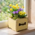 Cassetto per piante in legno decorativo per piante giallo 12,5 cm | Floristik24.it