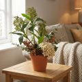Fiori artificiali di Skimmia japonica verdi, 45 cm, 2 pezzi | Floristik24.it