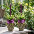 Vaso per piante in stile rustico foresta Ø12,5cm H12cm 2 pezzi | Floristik24.it