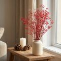 Gypsophila Gypsophila Fiori secchi Rossi 50 cm 55 g | Floristik24.it