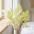 Felci: materiale naturale stabilizzato di alta qualità per progetti decorativi di lunga durata, 40 cm, 10 pezzi | Floristik24.it