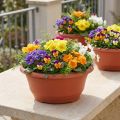 Ciotola per piante in plastica Ø27cm ciotola rotonda terracotta 5pz | Floristik24.it