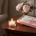 Candele profumate tea light peonia rosa peonia fard Ø3,5 cm 12 pz | Floristik24.it