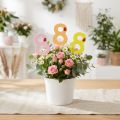 Numero anniversario "8" Tappo numerico colorato in legno 7,5 cm 16 pezzi | Floristik24.it