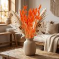 Decorazione floreale essiccata di coda di lepre arancione 50-60 cm 50 g - Lagurus vellutato per decorazioni da tavola e artigianato | Floristik24.it