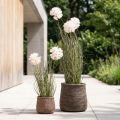 Fiori artificiali palla decorativa fiore allium ornamentale cipolla artificiale 54 cm | Floristik24.it
