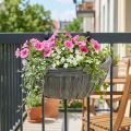 Vaso sospeso vaso da fiori per appendere balcone vaso sospeso 30x17cm | Floristik24.it