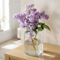 Vaso in vetro trasparente cilindrico Ø12cm H20cm | Floristik24.it