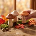 Funghi decorativi in legno, marrone, beige, arancione, Ø7,5 cm, H10 cm, 3 pezzi | Floristik24.it