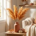 Erba artificiale della pampa, arancione, essiccata, 35 cm, 4 pezzi | Floristik24.it