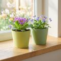 Vaso di carta, mini vaso per piante, cachepot blu/verde Ø9cm H7.5cm 4pz | Floristik24.it