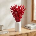 Erba coda di coniglio (Lagurus) essiccata rossa 60 cm 50 g Decorazione floreale essiccata | Floristik24.it