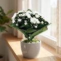 Kalanchoe Flaming Käthchen bianca artificiale 24 cm | Floristik24.it