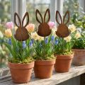 Tappo fiore decorazione coniglio ruggine 7,5 cm × 11,5 cm 6 pz | Floristik24.it