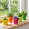 Fioriera per piante in vaso, colorata assortita. Ø10,5 cm 10 pezzi | Floristik24.it