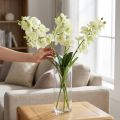Orchidea verde chiaro 56cm 6pz | Floristik24.it