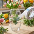Nastro doppio fissaggio Oasis® 25 mm x 25 m | Floristik24.it
