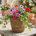 Cesto portavaso per vite Ø25cm H22.5cm, fioriera naturale | Floristik24.it