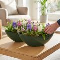 Elegante ciotola da barca in verde scuro - perfetta per piantare - 39 cm 2 pezzi | Floristik24.it