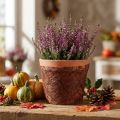 Pile 8cm 25m marrone | Floristik24.it