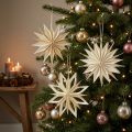 Stelle di carta, decorazioni natalizie, addobbi per l'albero, bianco e oro, 15 cm, 6 pezzi | Floristik24.it