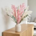 Decorazione essiccata di asparagi rosa (Asparagi) 55-70cm | Floristik24.it