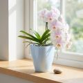 Vaso per orchidee lucido Ø12,5 cm bianco 1 pezzo | Floristik24.it