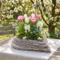 Plant Heart ciotola per piante cuore in rattan bianco naturale 28x34 cm | Floristik24.it