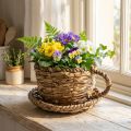 Tazza da piantare con piattino, piccolo cestino da piantare in paglia, Ø17cm H13cm | Floristik24.it