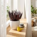 Pianta artificiale di aloe vera in vaso Pianta decorativa verde H20 cm | Floristik24.it