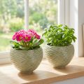 Vaso decorativo in ceramica verde Ø15cm H11cm 2pz | Floristik24.it