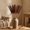 Mix di canne di pannocchia marrone 100 pezzi | Floristik24.it