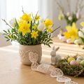 Nastro in velluto Nastro decorativo uova di Pasqua Crema pasquale 40mm 5m | Floristik24.it