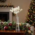 Dill bianco nevicato 117 cm | Floristik24.it