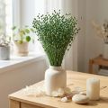 Erba di lino secca, verde, 50-55 cm, decorativa fai da te | Floristik24.it