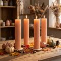Candele candele a bastoncino candele di cera arancione pesca 50x300mm 4 pz | Floristik24.it