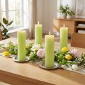 Candele tinta unita verde lime​​​​​​​ Candele coniche 50×300mm 4 pz | Floristik24.it