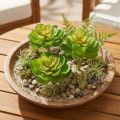 Echeveria Succulente Artificiali Verdi Ø7cm 6 pz | Floristik24.it