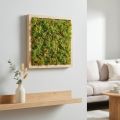 Tappetino in muschio artificiale – perfetto per quadri di muschio verde chiaro 25×25 cm | Floristik24.it