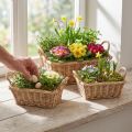 Cesto per piante rettangolare in vimini naturale 39/33/27 cm set da 3 | Floristik24.it