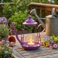 Porta tealight lanterna in vetro teiera rosa Ø13cm H22cm | Floristik24.it