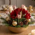 Spina per fiori Decorazione confezione regalo natalizia 2,5 cm 15 pz | Floristik24.it