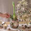 Vaso decorativo in vetro lanterna in vetro trasparente Ø18cm H20cm | Floristik24.it